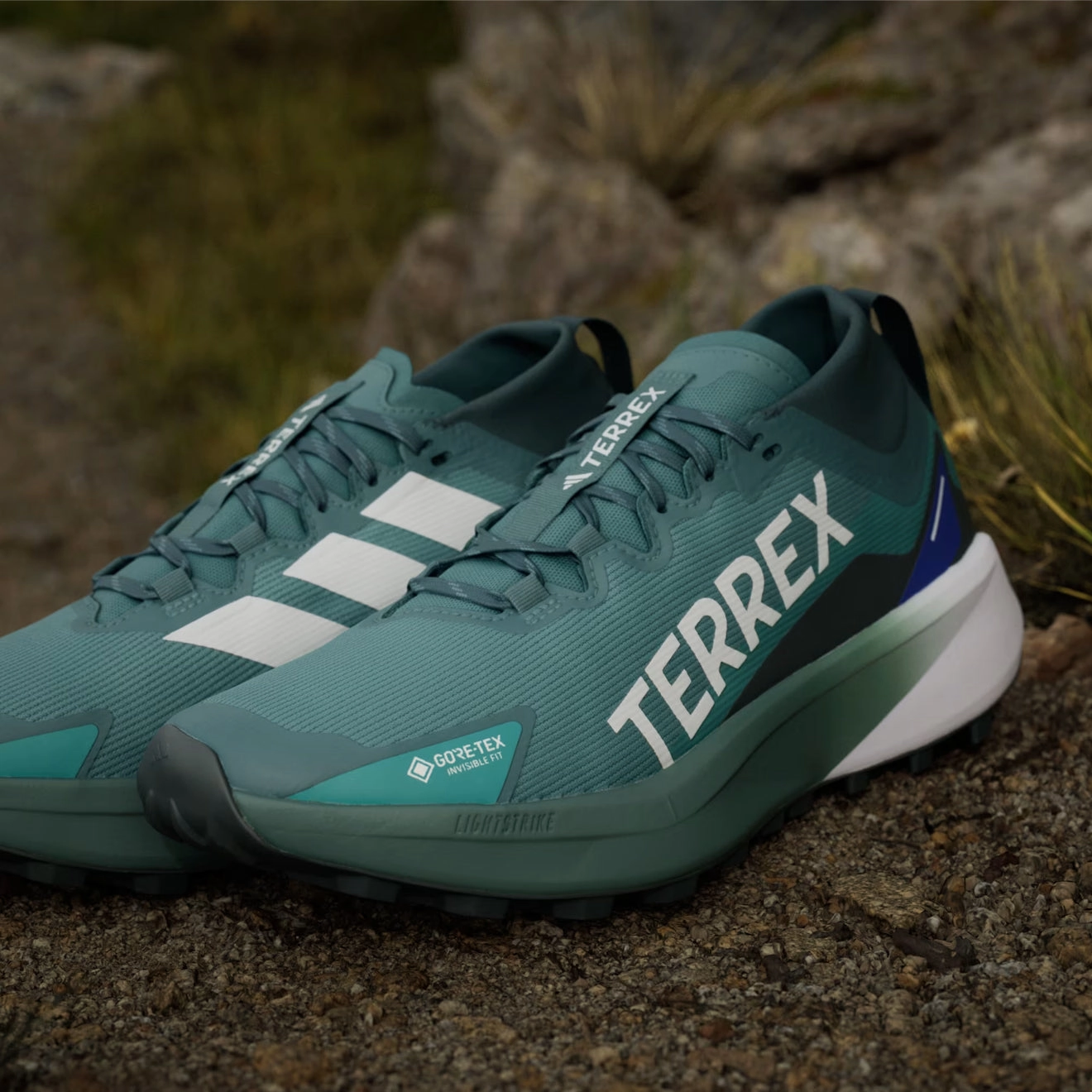 Trending Hot Picks Best Price Today Adidas Terrex Agravic Gtx Trail Running Shoes Preloved Teal / Cloud White / Semi Lucid Blue