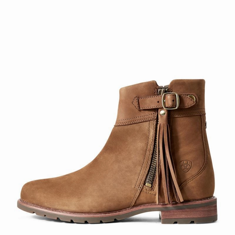 Ariat Abbey Waterproof Ladies Tassel Ankle Boot - Chestnut Hot Offer Frenzy