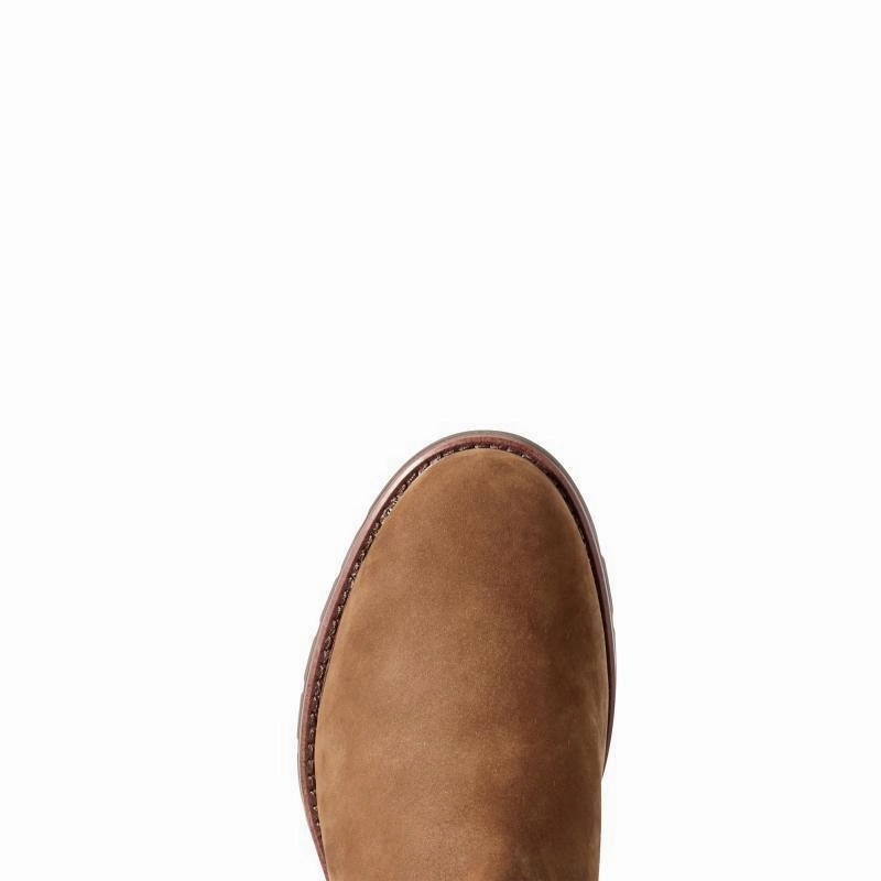 Shop Save Today MustHave Deal Ariat Abbey Waterproof Ladies Tassel Ankle Boot - Chestnut