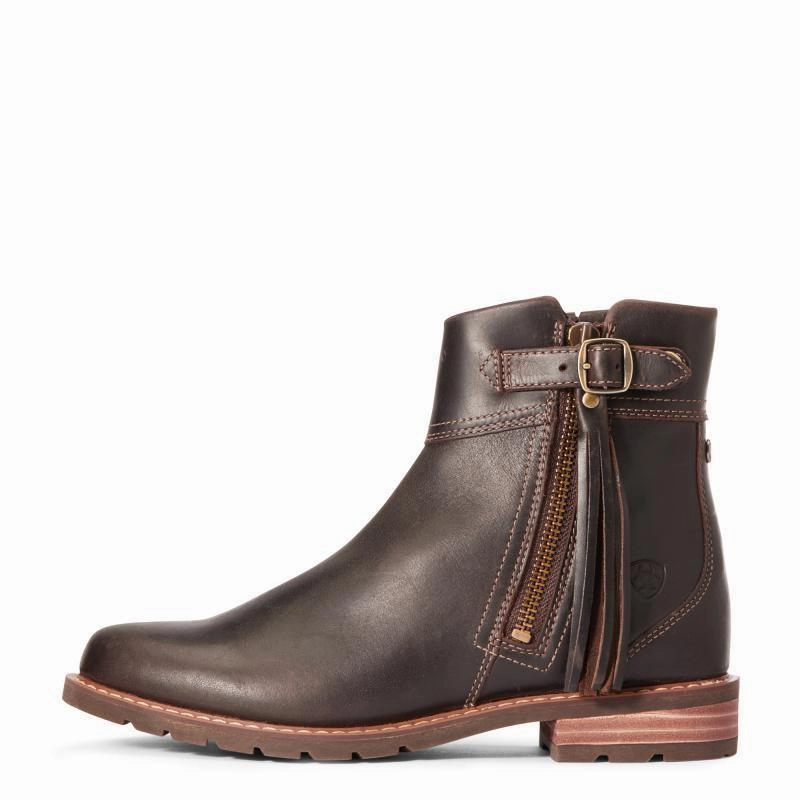 Ariat Abbey Waterproof Ladies Tassel Ankle Boot - Mocha Price Drop Frenzy
