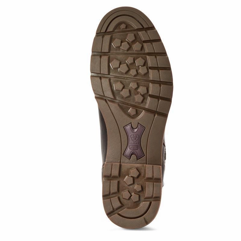 Shop Grab Offer Dont Miss This Steal Ariat Abbey Waterproof Ladies Tassel Ankle Boot - Mocha