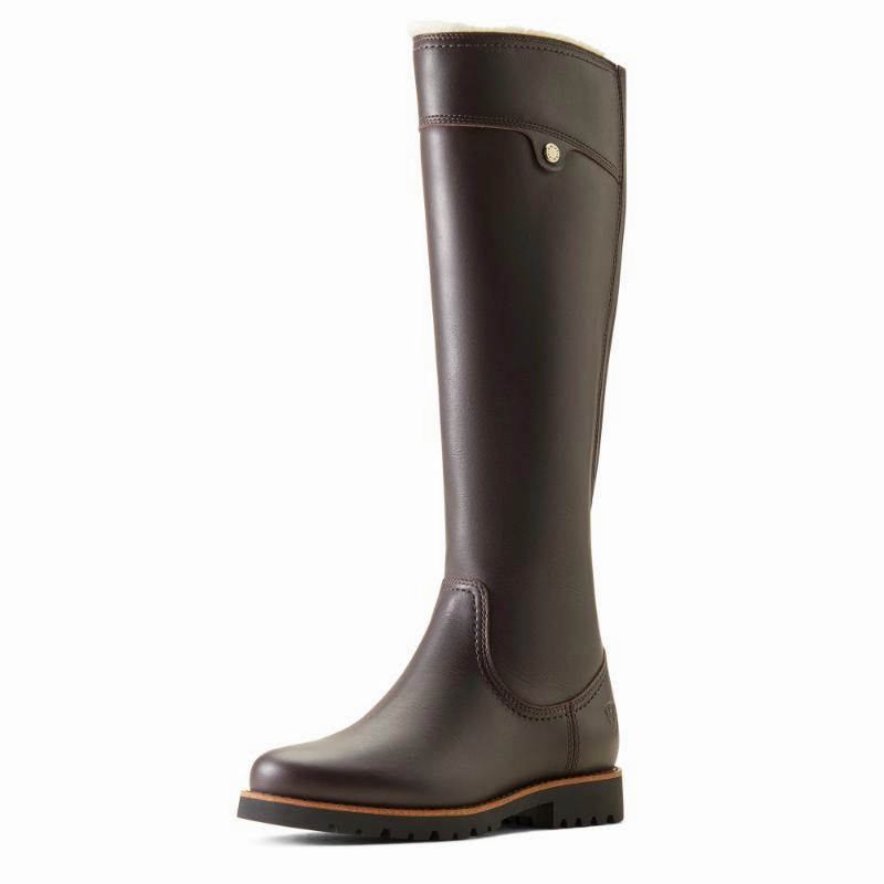 Ariat Arlington Sherpa Waterproof Ladies Boot - Espresso Special Price Today Weekend Specials