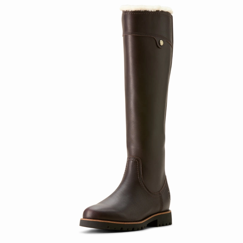 Grab Your Savings Ariat Arlington Sherpa Waterproof Ladies Boot - Espresso