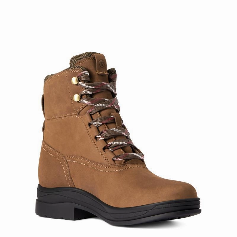 Ariat Harper Waterproof Ladies Boot - Dark Earth Instant Discount