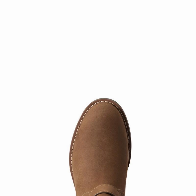 Trending Offer Today Ariat Sadie Waterproof Ladies Boot - Dark Earth