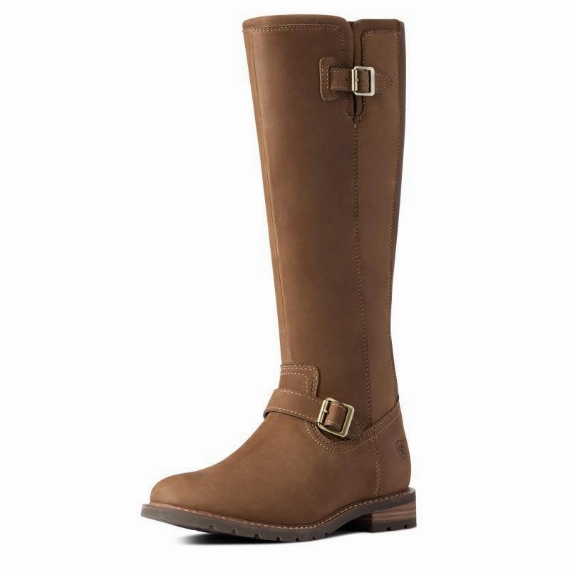 Clearance Event Ariat Sadie Waterproof Ladies Boot - Dark Earth