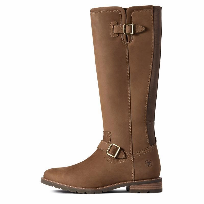 Trending Offer Today Save Big Today Ariat Sadie Waterproof Ladies Boot - Dark Earth