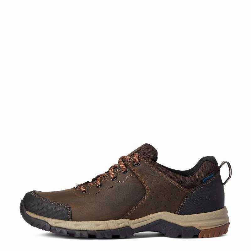 Shop Save Today Ariat Skyline Low Waterproof Mens Shoe - Distressed Brown