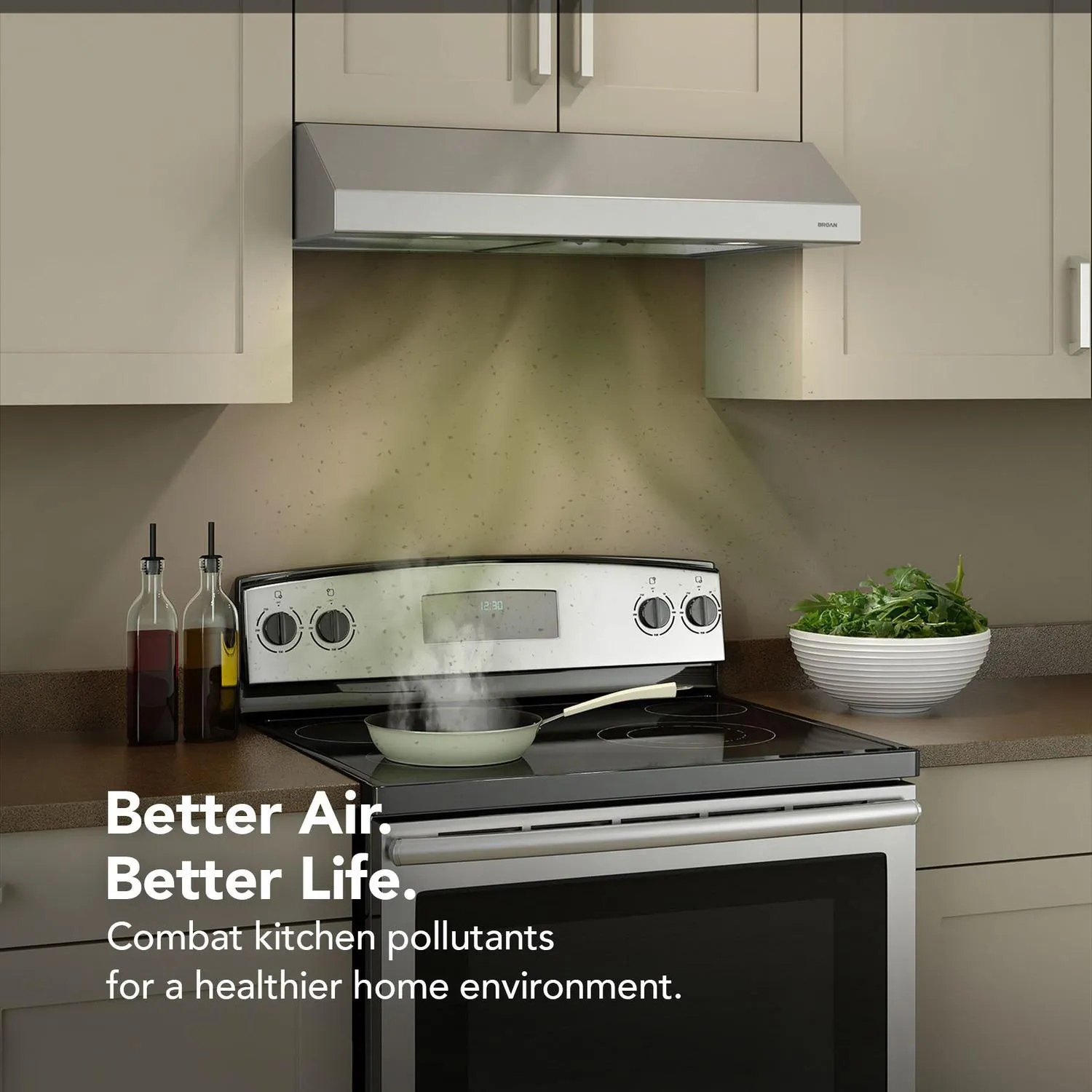 Broan BCSD142SS Glacier 42-Inch 300 Max Blower Cfm 5 Sones Stainless Steel Range Hood