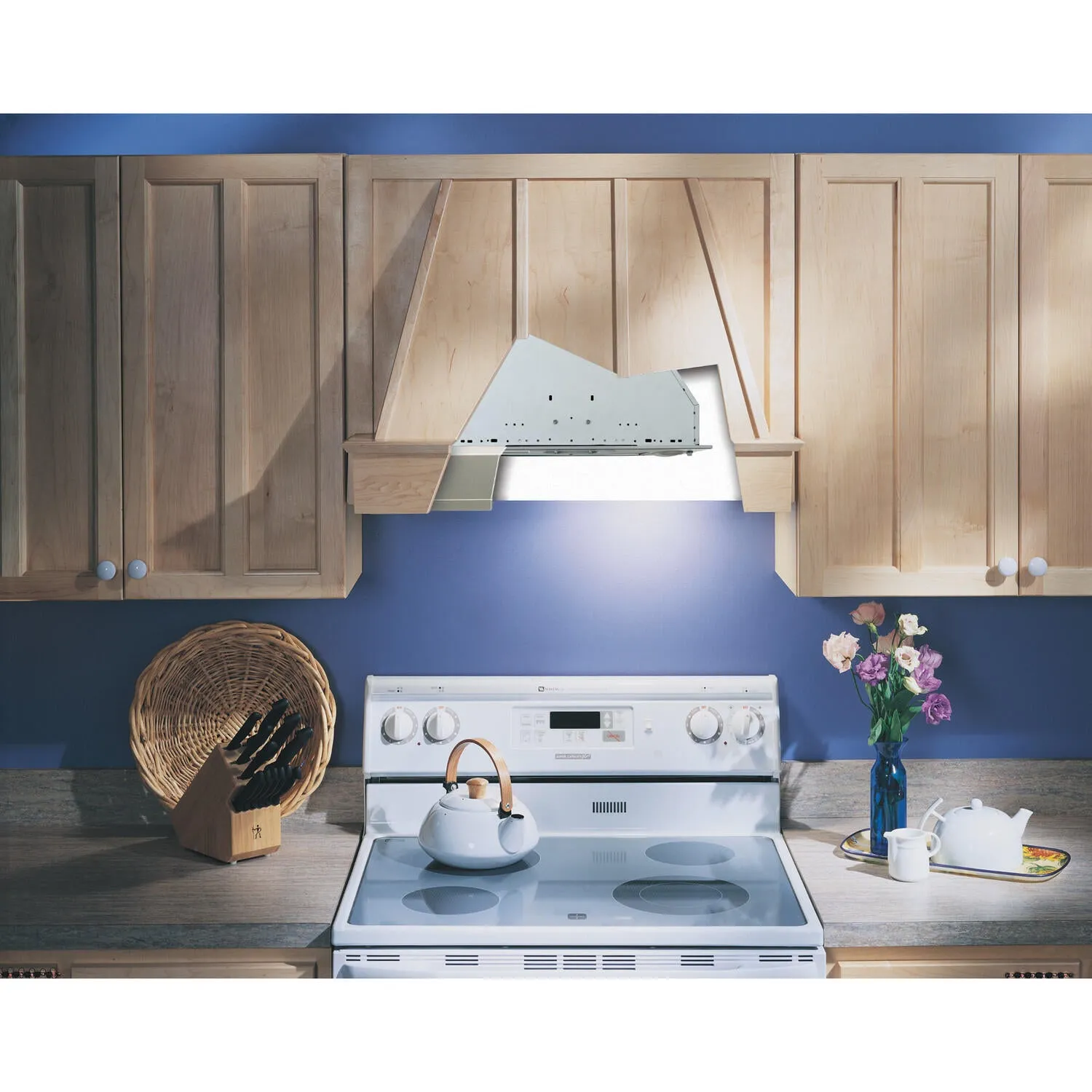 Broan NSPM250 Broan? 20-1/2-Inch Custom Range Hood Power Pack, Silver Finish, 250 Cfm