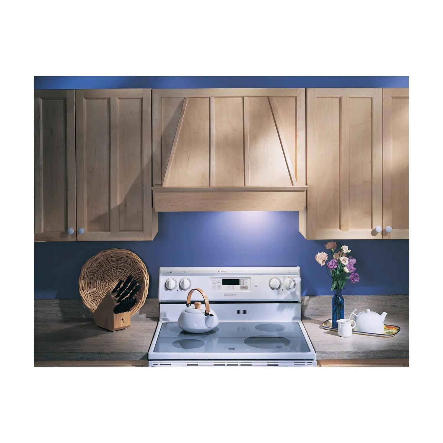 Broan PM390 Broan?? 20-1/2-Inch Custom Range Hood Power Pack, Silver Finish, 390 Cfm