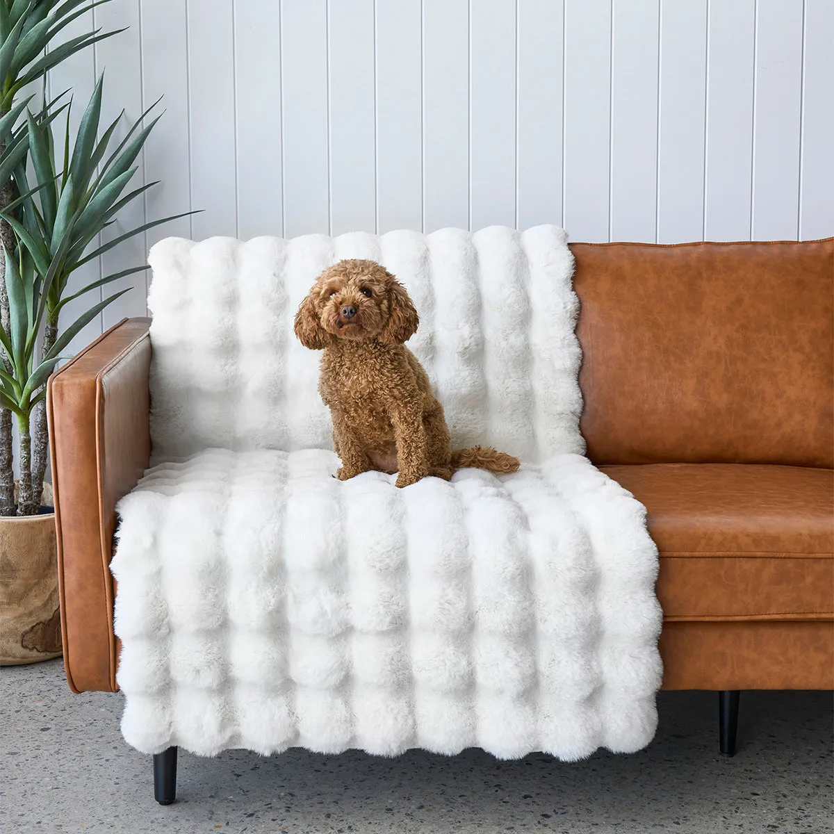Bubble Washable Rug