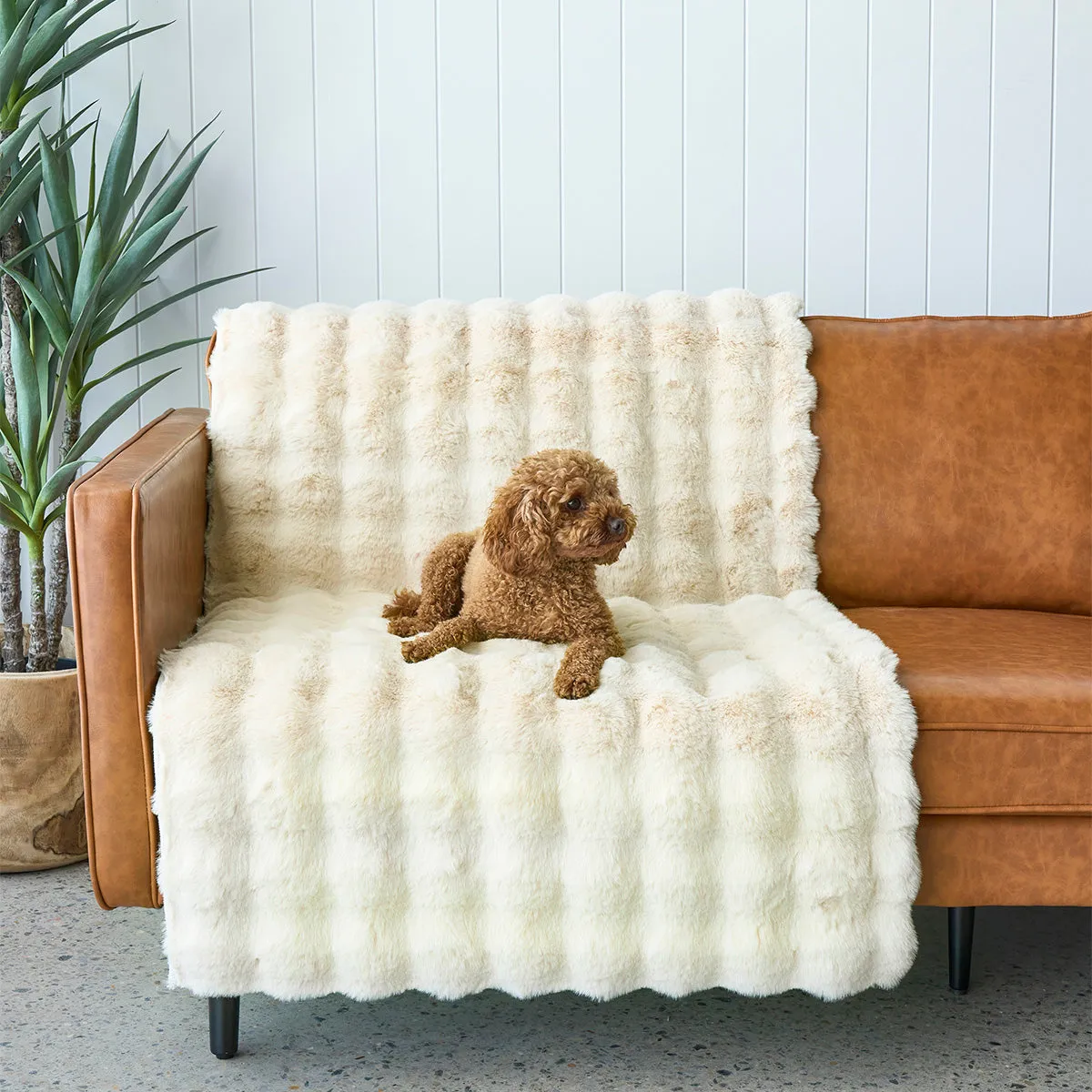 Bubble Washable Rug