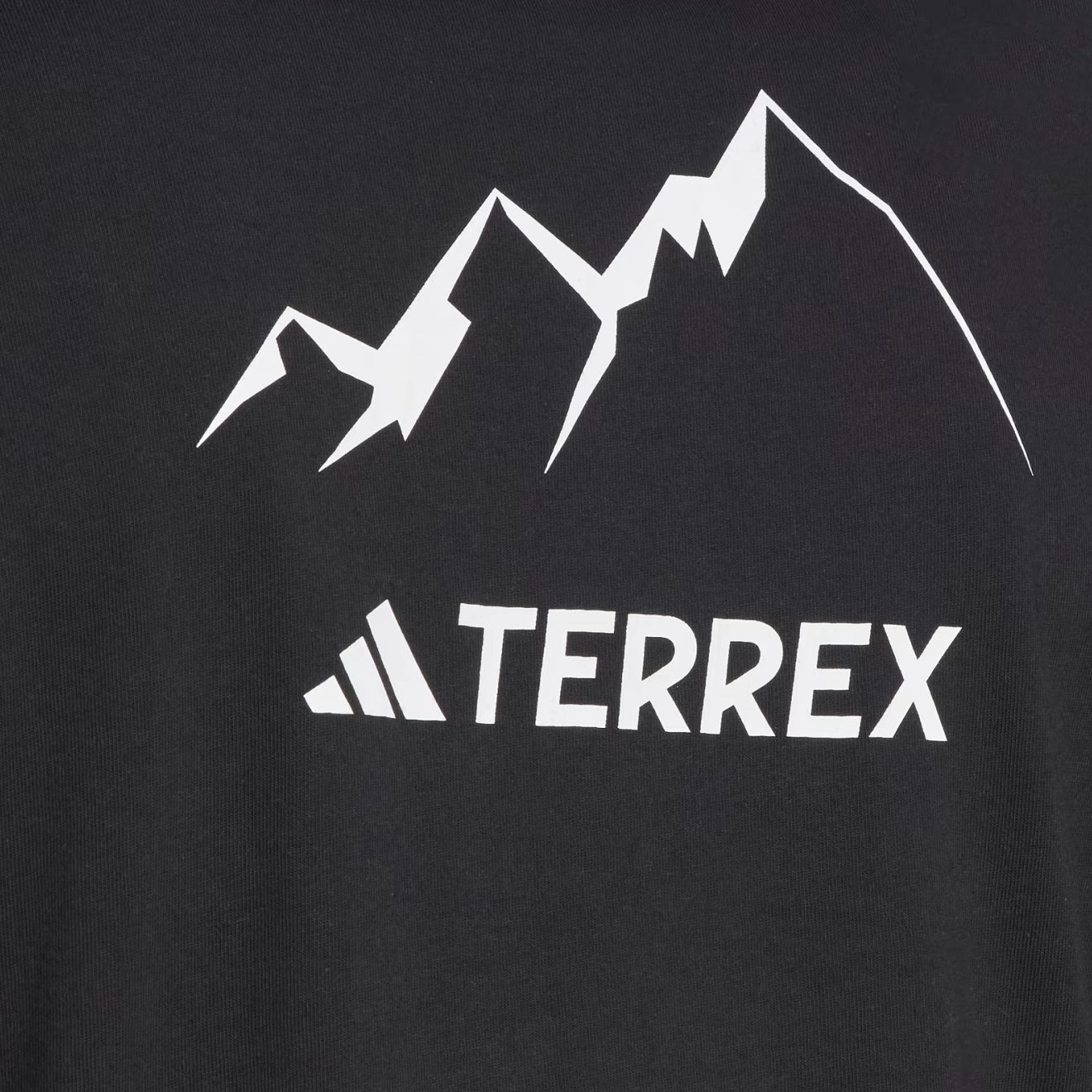 Hot Sale Alert Adidas Terrex Graphic Mountain 2.0 T-Shirt Black