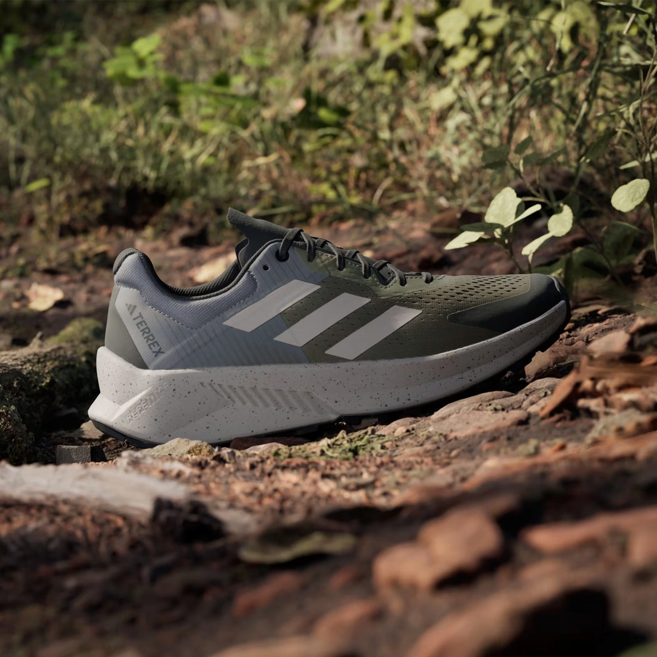 Clearance Event Alert Mega Hot Offer Adidas Terrex Soulstride Flow Trail Running Shoe Olive Strata / Wonder Beige / Charcoal
