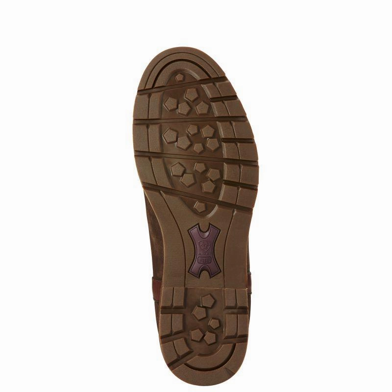 Clearance Steal Today Ariat Wexford Waterproof Ladies Chelsea Boot - Java