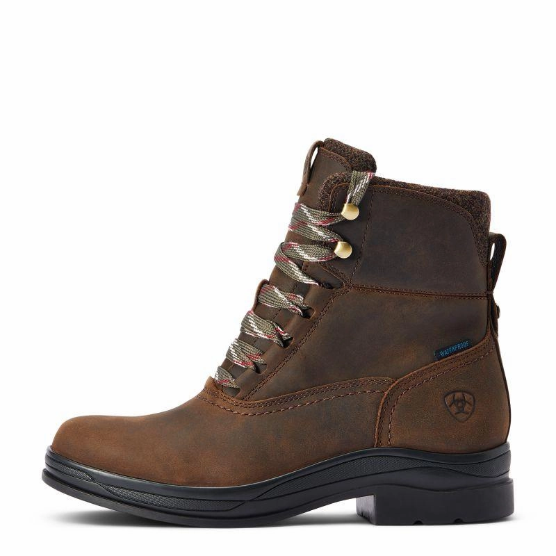 Ariat Harper Waterproof Ladies Boot - Chocolate Big Savings Today