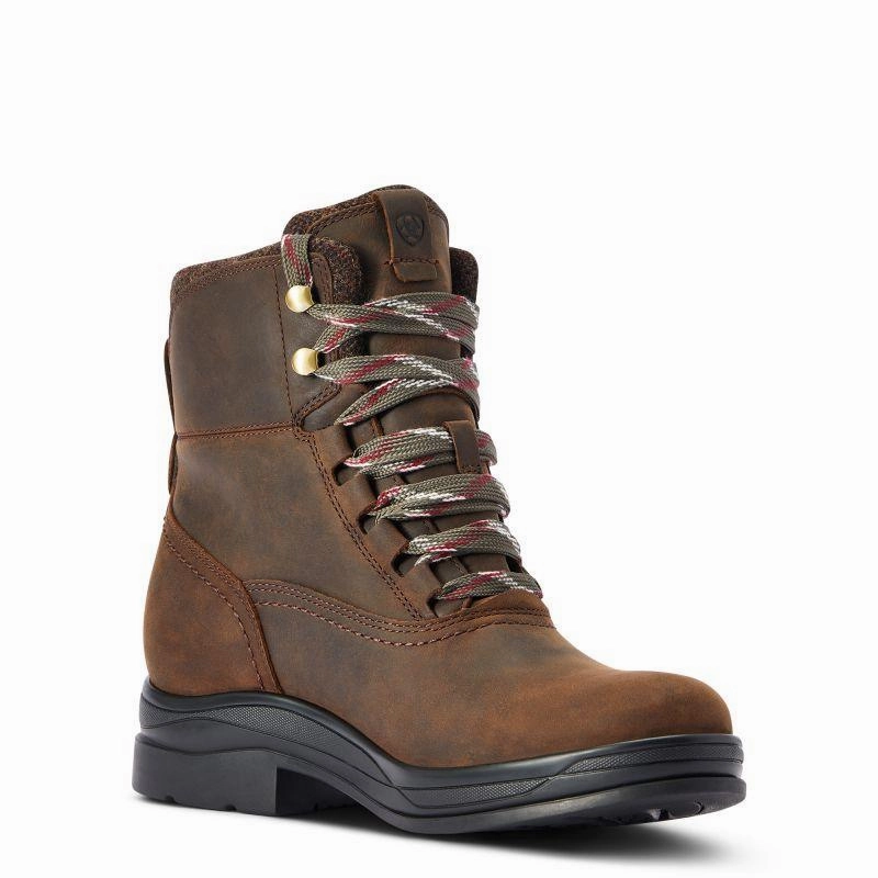 Ariat Harper Waterproof Ladies Boot - Chocolate Shop Now Save Special Price Today