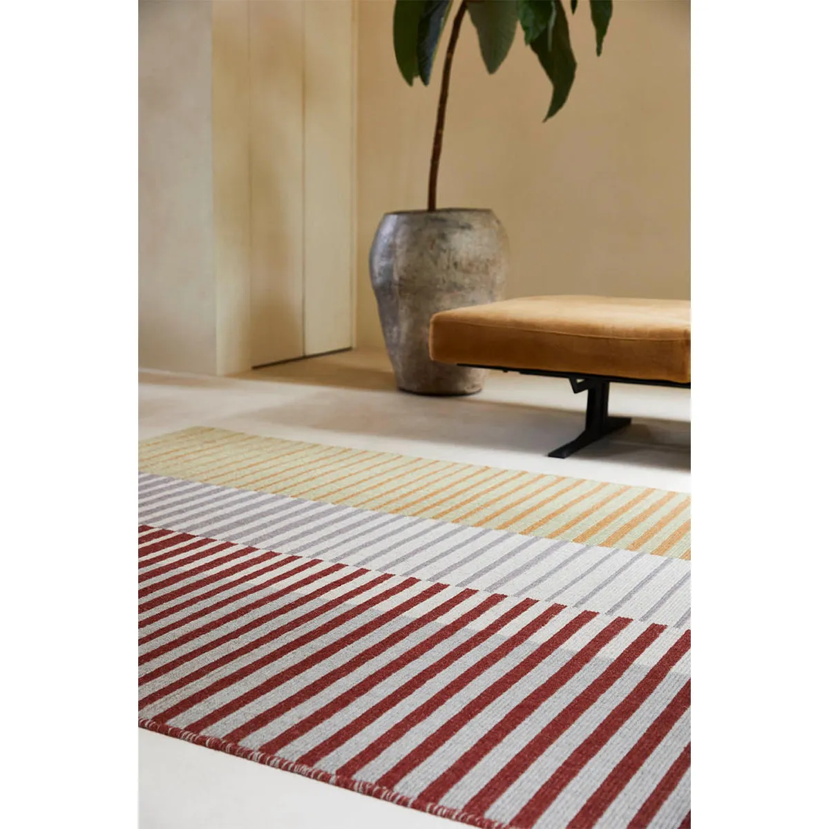 Focus Dawn Rug