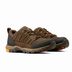 Ariat Skyline Summit Low Waterproof Mens Shoe - Coffee Hot Clearance Now Big Price Drop