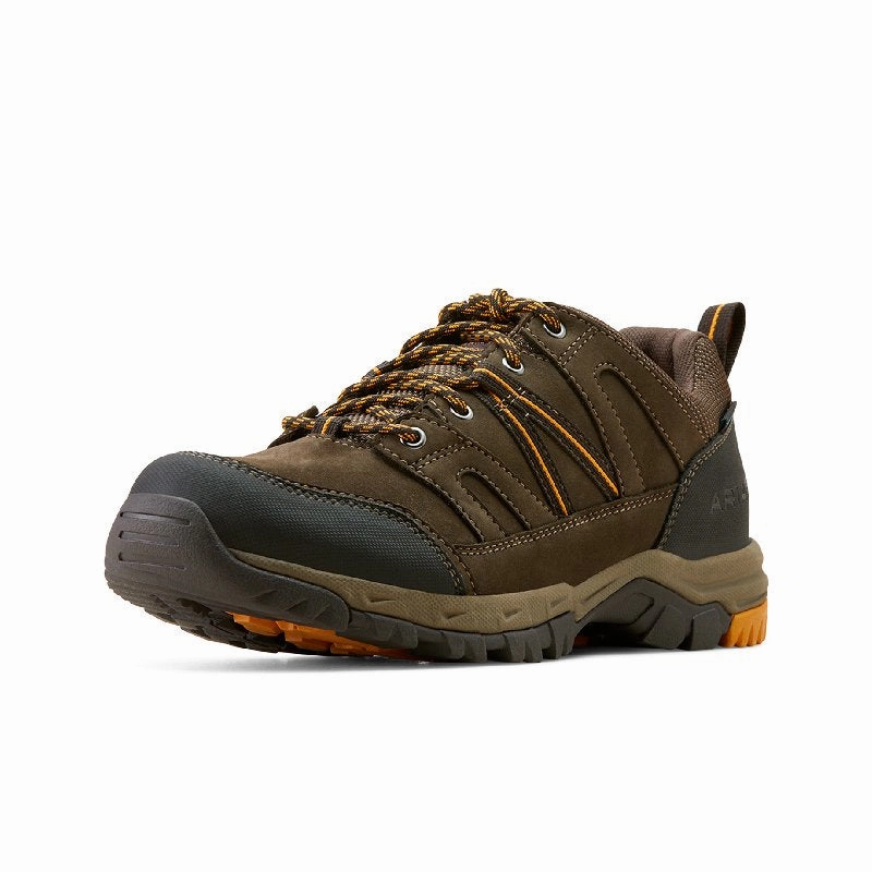 Price Drop Frenzy Clearance Blowout Ariat Skyline Summit Low Waterproof Mens Shoe - Coffee