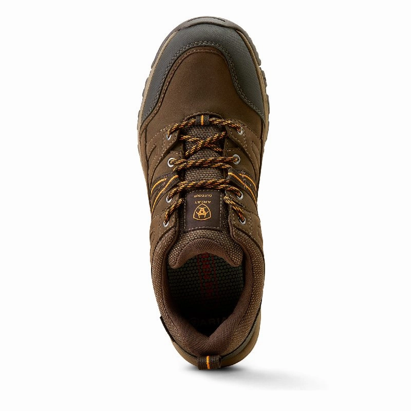 Trending Offer Today Special Occasion Discount Ariat Skyline Summit Low Waterproof Mens Shoe - Coffee