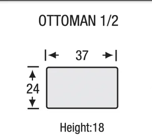 Legacy -Trenton - Ottoman 1/2