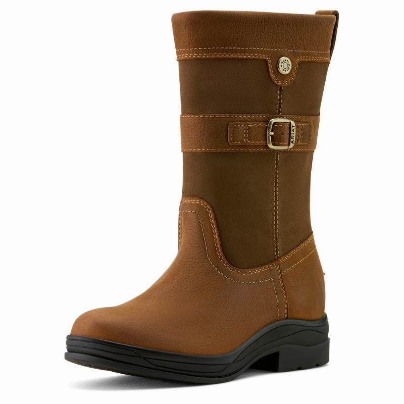 Save Big Online Ariat Bampton Ladies Waterproof Boot - Baked Brown