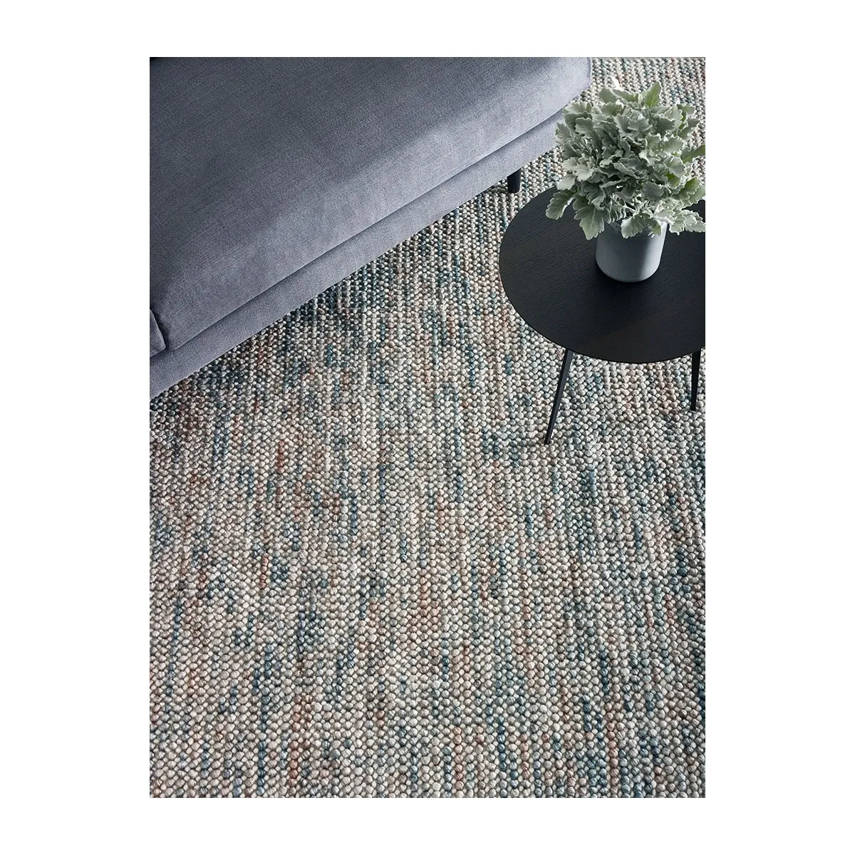 Magic Rug (Oasis)