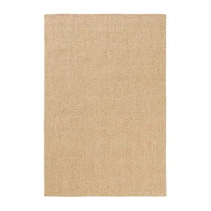 Malia Braided Flatweave Rug