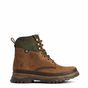 Today Only Steal Ariat Womens Moresby Waterproof Boot Oily Distressed Brown / Olive
