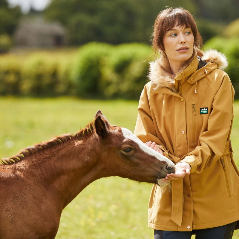 Ridgeline Monsoon Nordic Waterproof Ladies Jacket - Ochre Dont Miss This Deal
