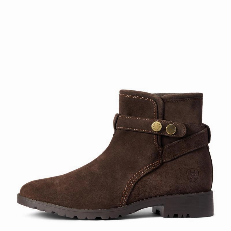 Hot Picks Today Ariat Charlie Waterproof Ladies Ankle Boot - Chocolate