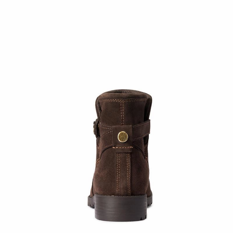 Ariat Charlie Waterproof Ladies Ankle Boot - Chocolate Limited Stock Hot Deal