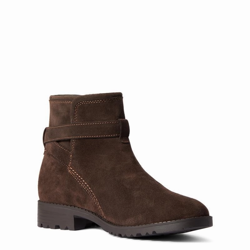 Limited Stock Alert Todays Trending Deals Ariat Charlie Waterproof Ladies Ankle Boot - Chocolate