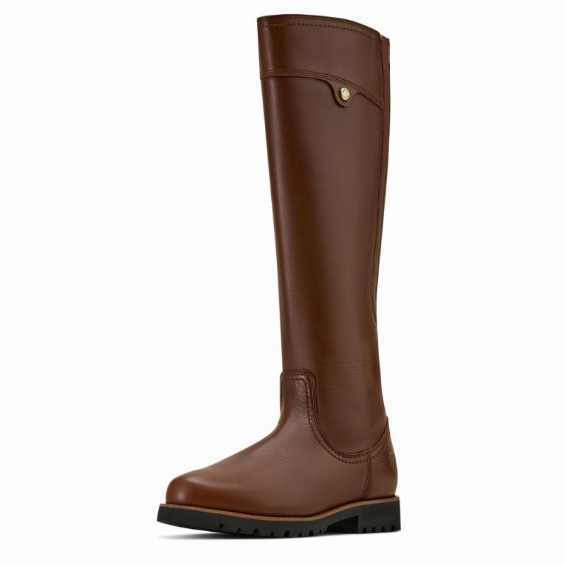 Hot Price Drop Ariat Arlington Waterproof Ladies Boot - Coffee Bean