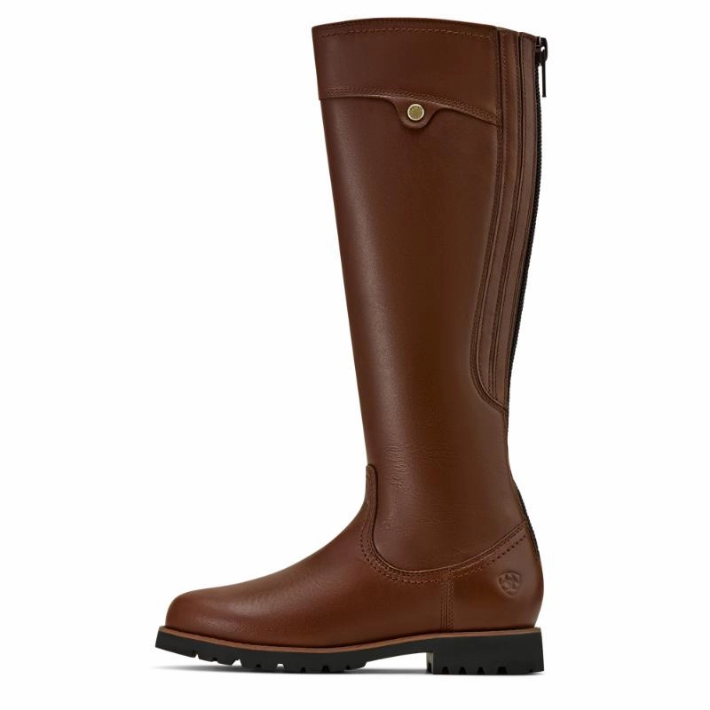 Grab It Before Gone Mega Savings Now Ariat Arlington Waterproof Ladies Boot - Coffee Bean
