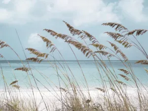Solitude Beach By Danita Delimont - Light Blue