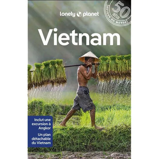 Vietnam Limited Stock Deals