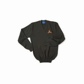 William Powell Mens Pheasant V Neck Sweater Grab the Deal Now Clearance Alert Now