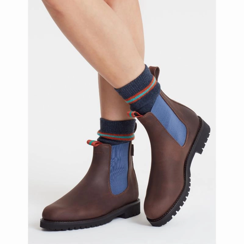 Big Hot Sale Online Exclusive Steal Penelope Chilvers Nelson Ladies Leather Ankle Boot - Brown/Blue