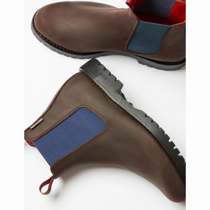 Penelope Chilvers Nelson Ladies Leather Ankle Boot - Brown/Blue Flash Sale Alert Shop Save Today