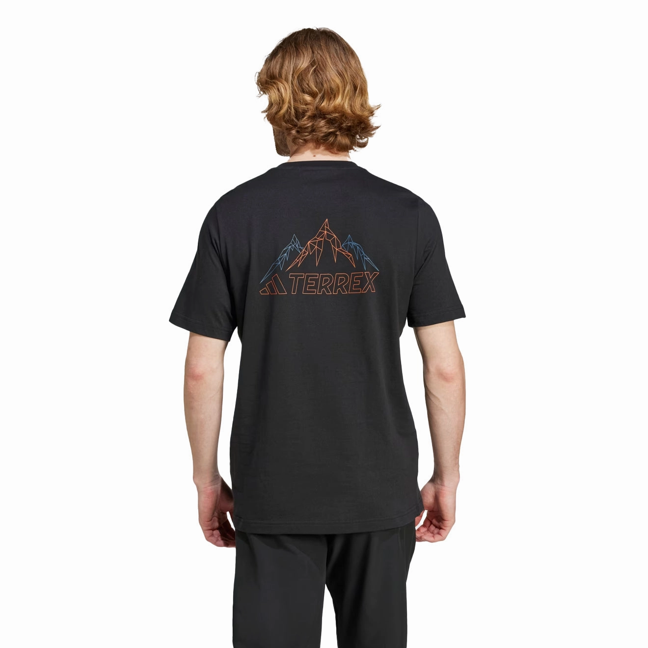 Steal Todays Offer Today Only Discount Alert Adidas Terrex Mountain Graphic T-Shirt Black