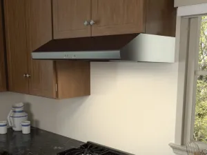 Zephyr AK6500BBS 30" Cyclone Under-Cabinet