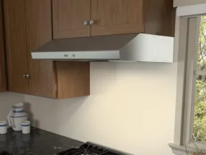 Zephyr AK6542CS 42" Cyclone Under-Cabinet
