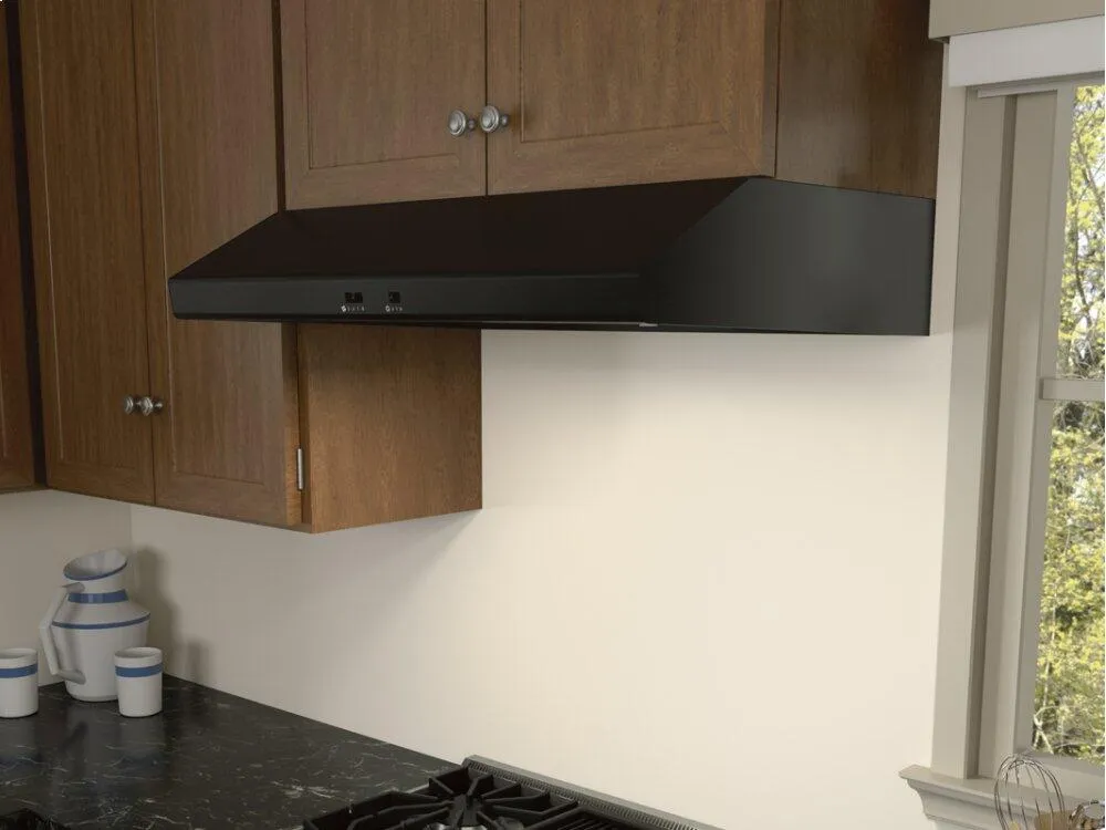 Zephyr AK6542CS 42" Cyclone Under-Cabinet