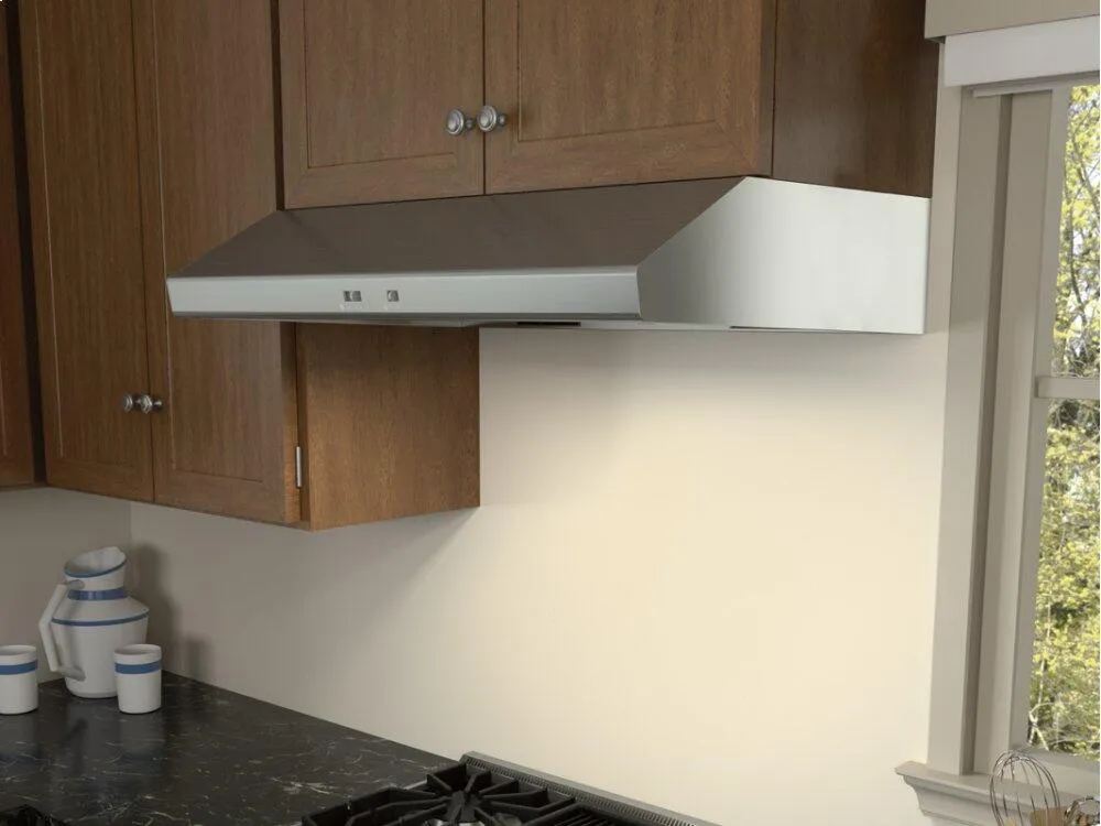 Zephyr AK6542CS 42" Cyclone Under-Cabinet